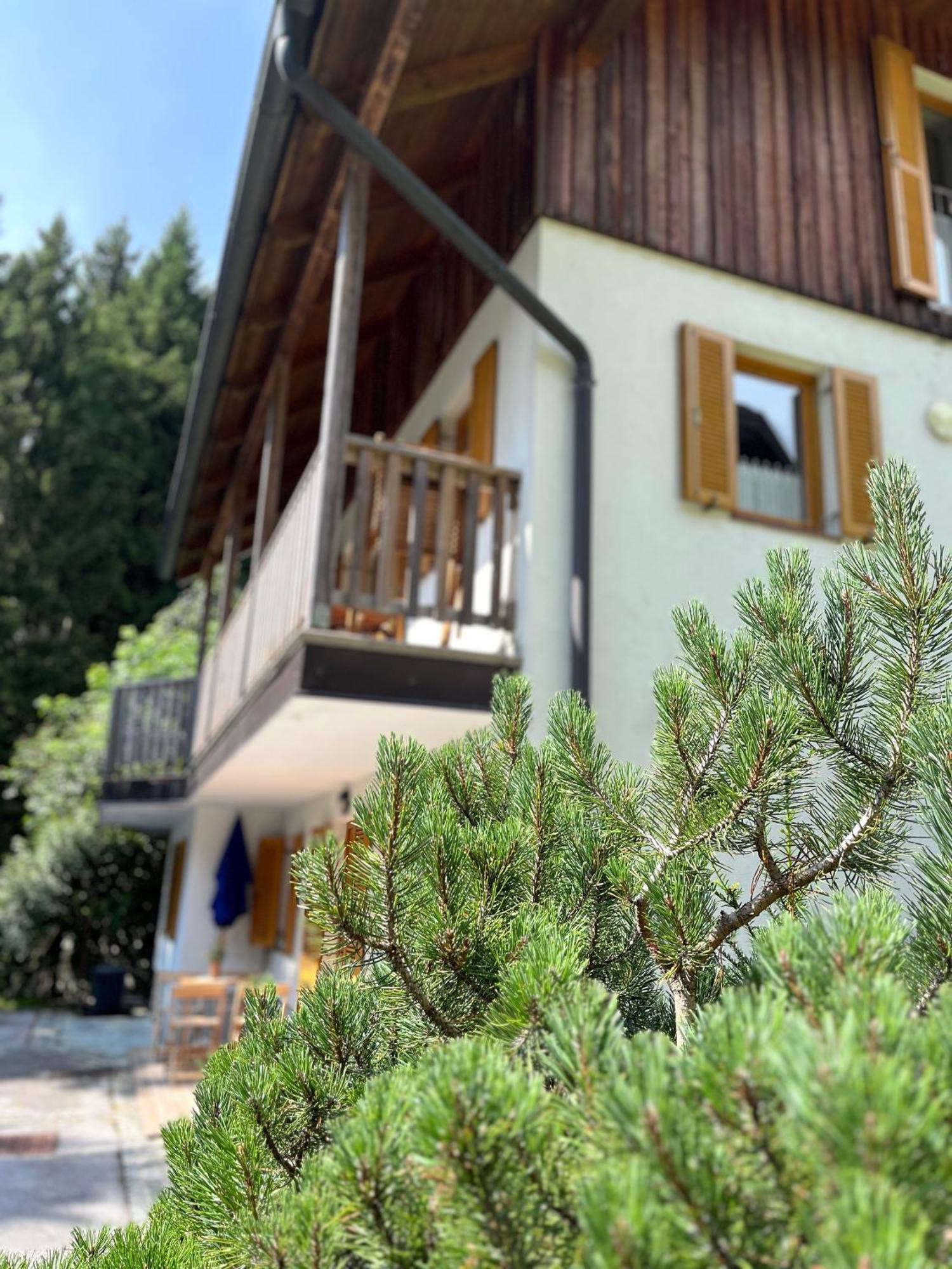Chalet Harmony Rogla - Apartment Zreče Exteriör bild